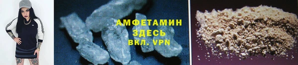 гашик Дмитриев