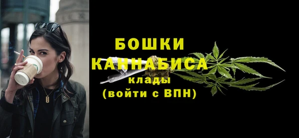 гашик Дмитриев