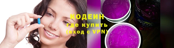 гашик Дмитриев