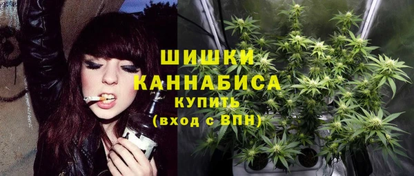 мдпв Дмитров
