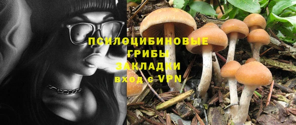 гашик Дмитриев