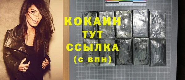 мдпв Дмитров